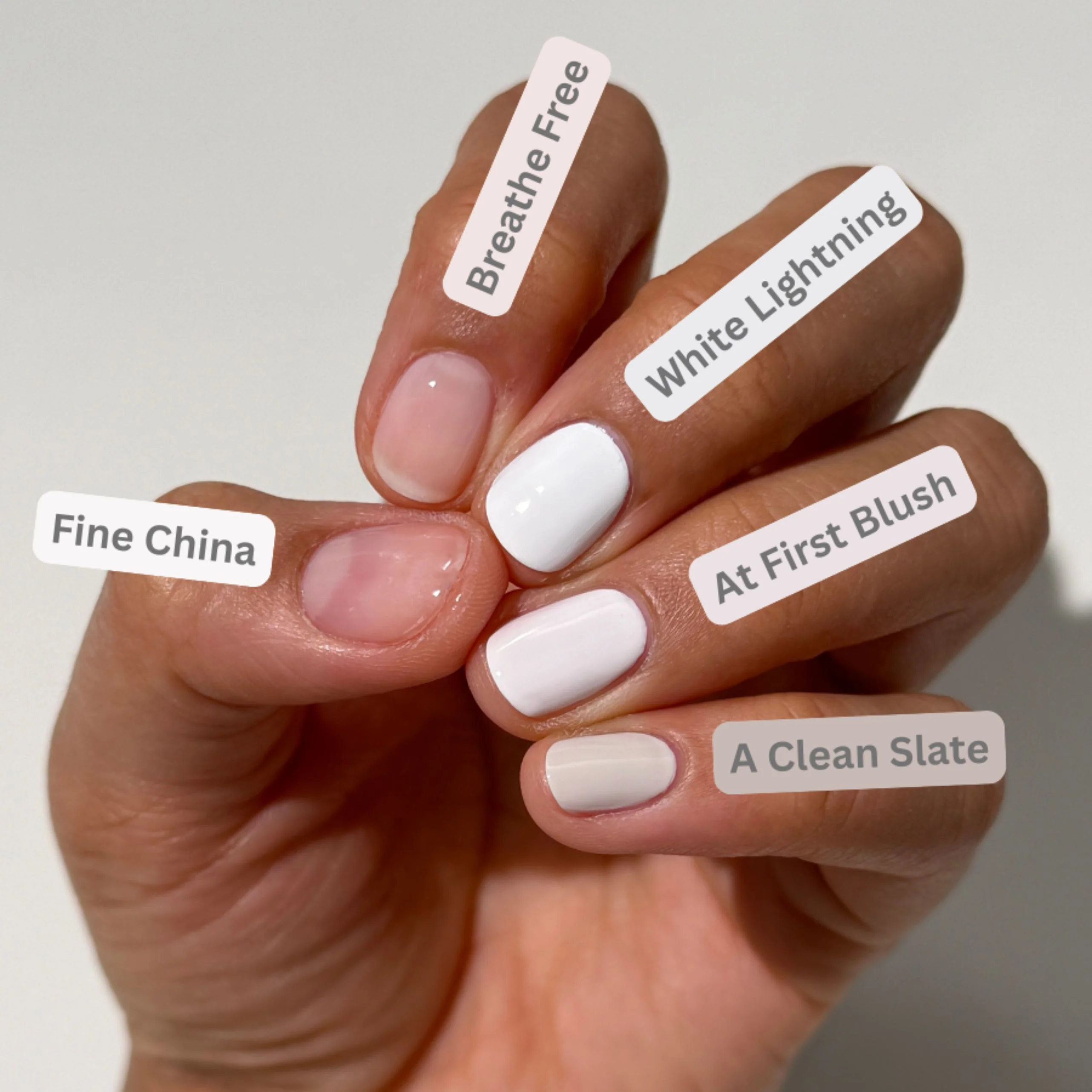 Fine China - Image 6