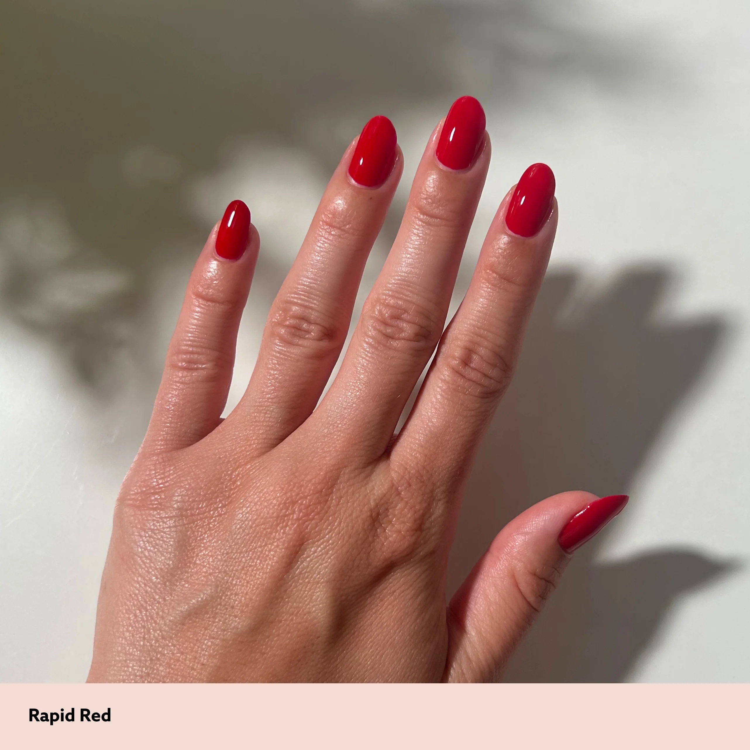 Rapid Red - Image 8